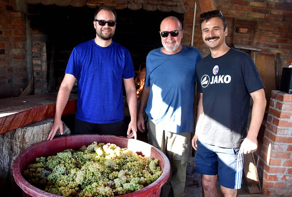 Unatoč ekstremnoj suši dobar urod graševine u vinogradu obitelji Vuković iz Požege