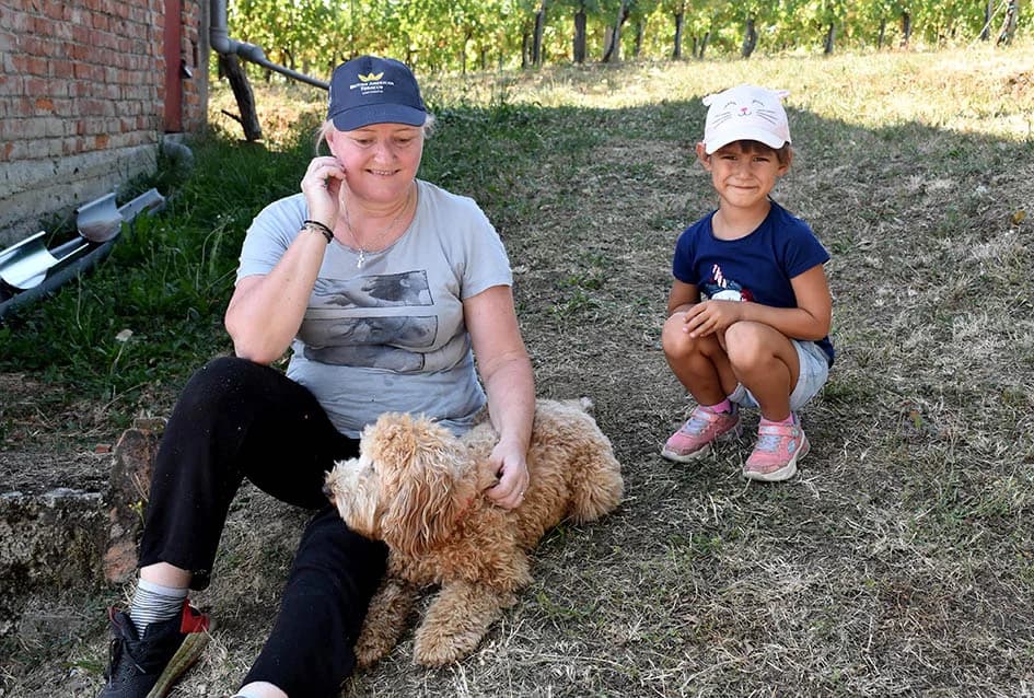 Unatoč ekstremnoj suši dobar urod graševine u vinogradu obitelji Vuković iz Požege