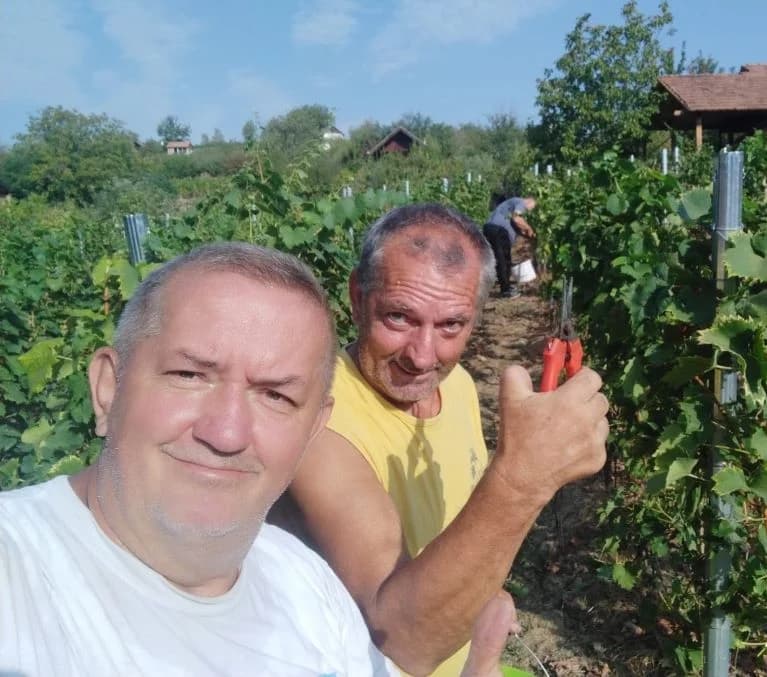 ZKUD “RAMA“: Berba grožđa u vinogadu predsjednika Jure Vidakušića
