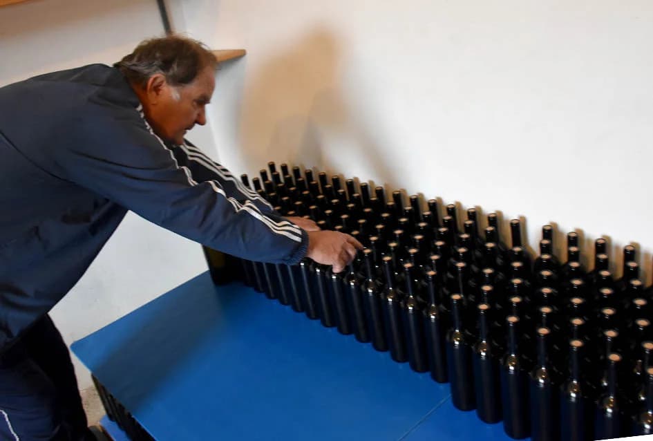 VINOGRADARSTVO I PODRUMARSTVO MIHALJ IZ KUTJEVA: Punjenje vina društveni događaj