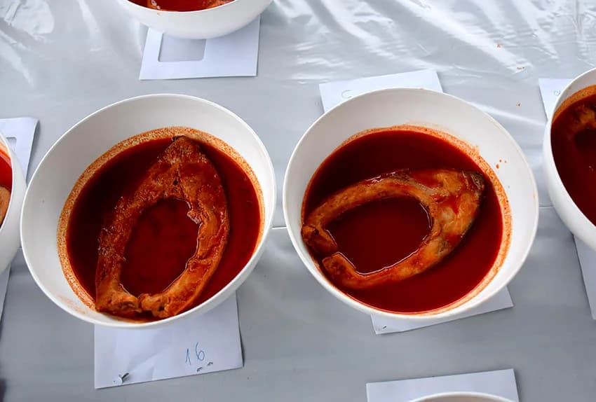 ODRŽANA TRADICIONALNA 8. JAKŠIĆKA FIŠIJADA: Jakšićki ribiči skuhali najbolji fiš