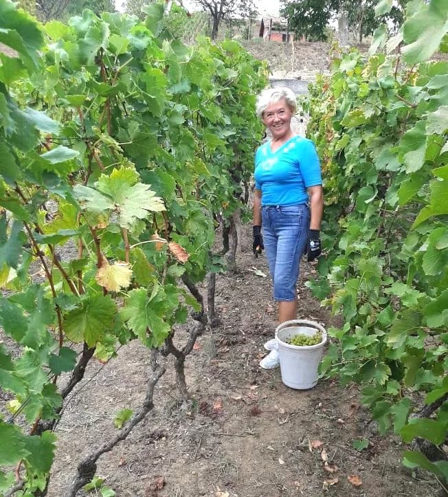 Pleternički planinari u berbi grožđa na Požeškoj gori u vinogradu Mladena Ravlića