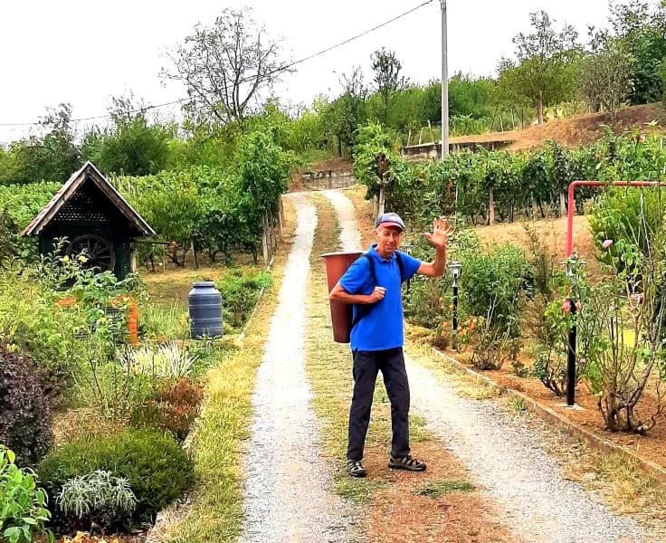 Pleternički planinari u berbi grožđa na Požeškoj gori u vinogradu Mladena Ravlića