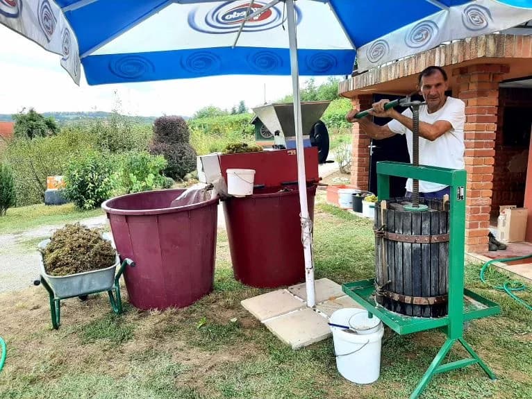 Pleternički planinari u berbi grožđa na Požeškoj gori u vinogradu Mladena Ravlića