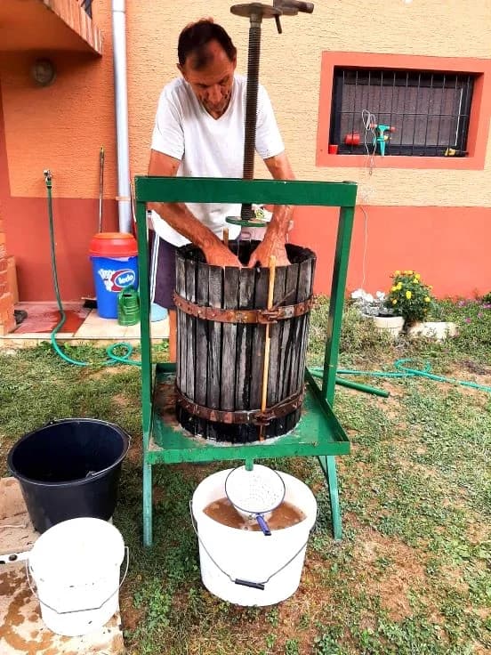Pleternički planinari u berbi grožđa na Požeškoj gori u vinogradu Mladena Ravlića