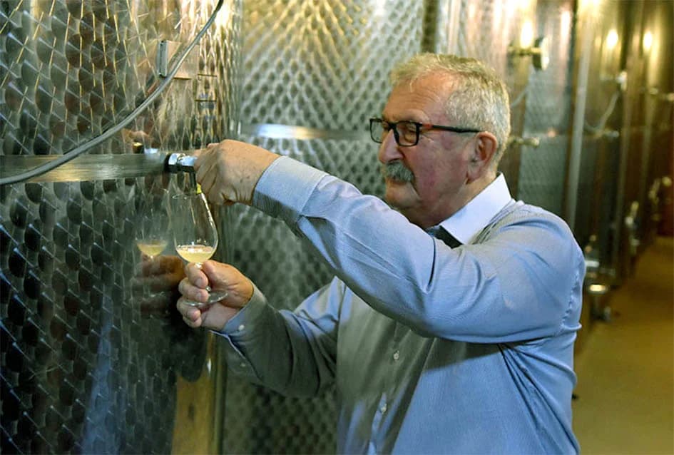 STRANI RADNICI U BERBI VINOGRADA VLADE KRAUTHAKER IZ KUTJEVA: Nikad ranija, kraća, brža i teža berba