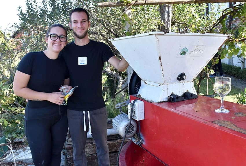 Berba je povod za okupljanje i druženje [FOTO]