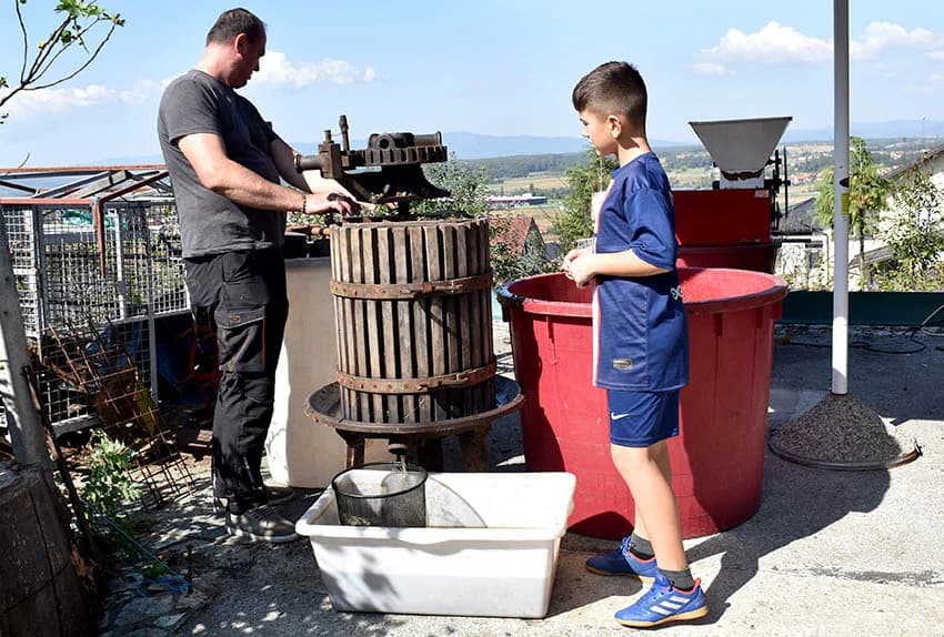 Berba je povod za okupljanje i druženje [FOTO]