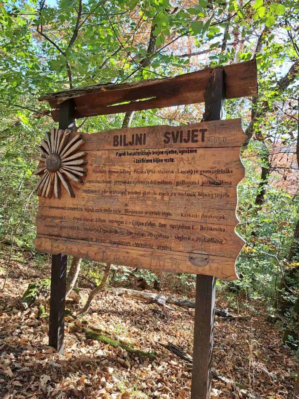 NOVI POHOD: Planinari Sokolovca Tragom putopisa Julija Kempfa po Stazi jaglaca na Papuku