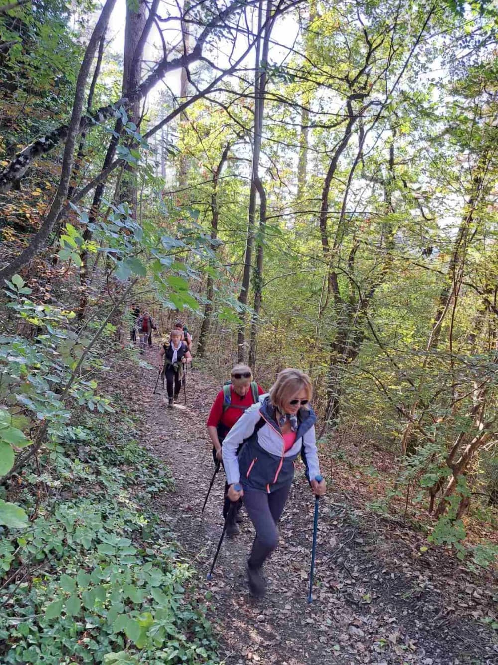 NOVI POHOD: Planinari Sokolovca Tragom putopisa Julija Kempfa po Stazi jaglaca na Papuku