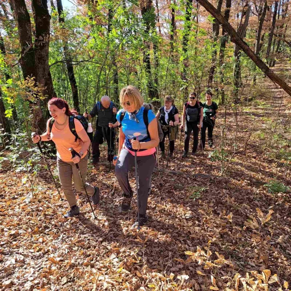 NOVI POHOD: Planinari Sokolovca Tragom putopisa Julija Kempfa po Stazi jaglaca na Papuku