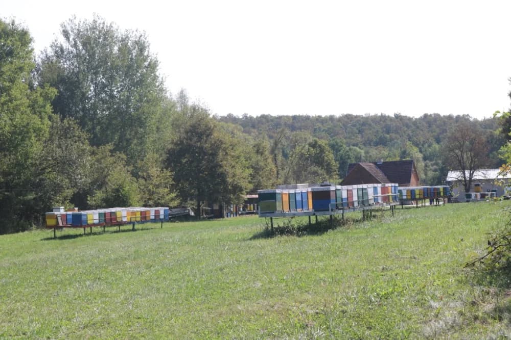 Požeški pčelar Željko Balen jedini u našoj zemlji oformio energetski neovisan i samoodrživ pčelinjak /FOTO/