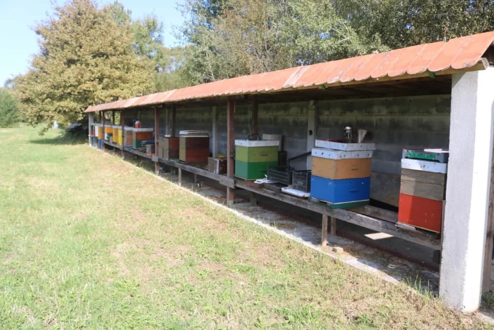 Požeški pčelar Željko Balen jedini u našoj zemlji oformio energetski neovisan i samoodrživ pčelinjak /FOTO/