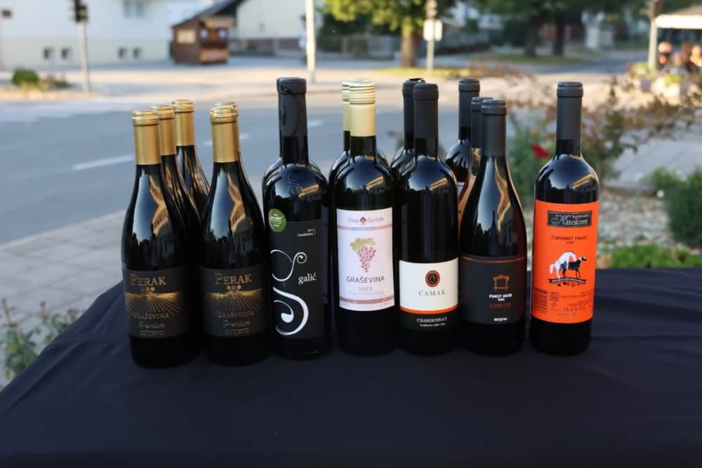 ZAVRŠETAK BERBE: Dosadašnji  vincilir Zoran Svitok na oproštaj doveo tamburaše, a za novog vincilira izabran Viktor Tepeš