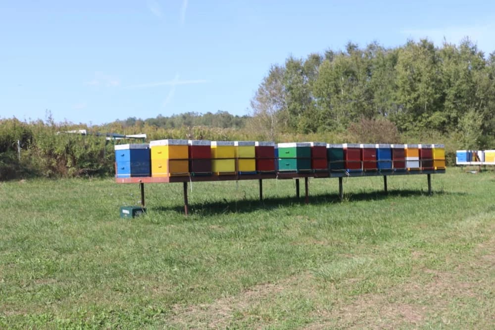 Požeški pčelar Željko Balen jedini u našoj zemlji oformio energetski neovisan i samoodrživ pčelinjak /FOTO/