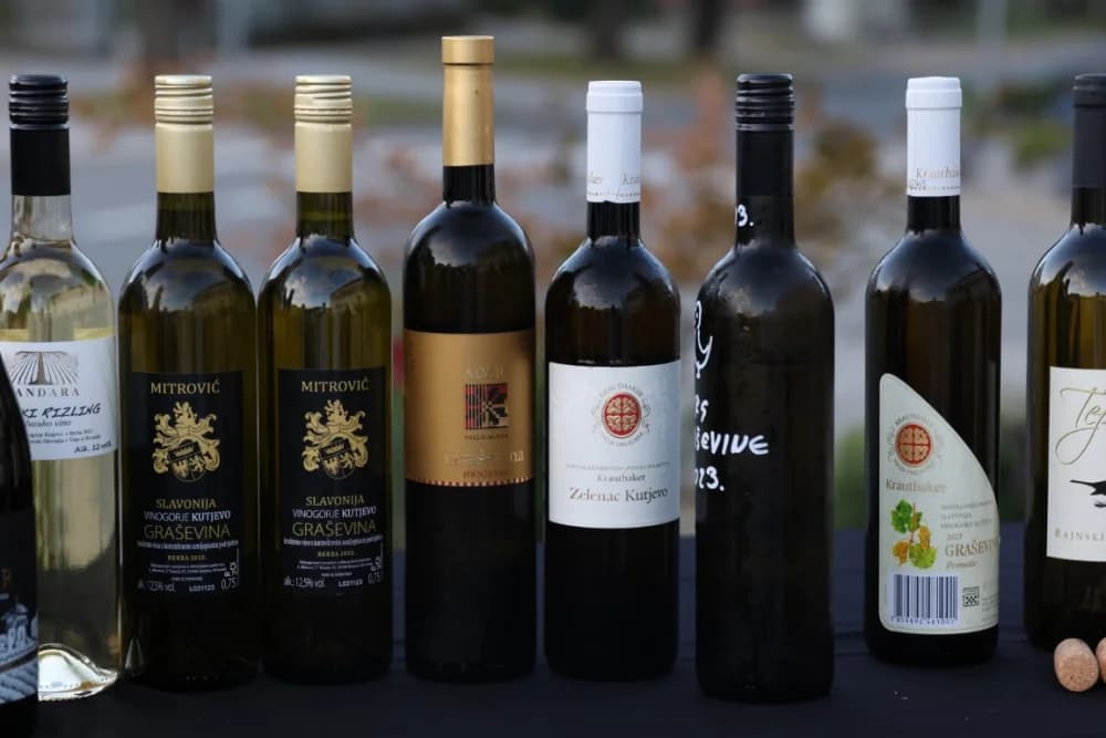 ZAVRŠETAK BERBE: Dosadašnji  vincilir Zoran Svitok na oproštaj doveo tamburaše, a za novog vincilira izabran Viktor Tepeš