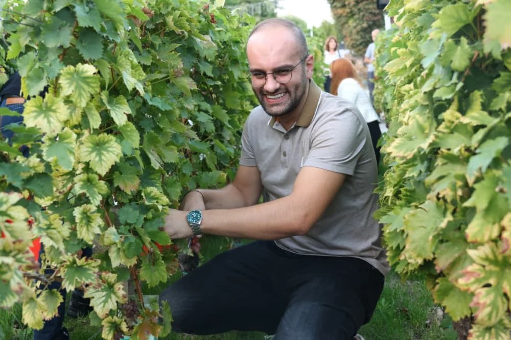 ZAVRŠETAK BERBE: Dosadašnji  vincilir Zoran Svitok na oproštaj doveo tamburaše, a za novog vincilira izabran Viktor Tepeš