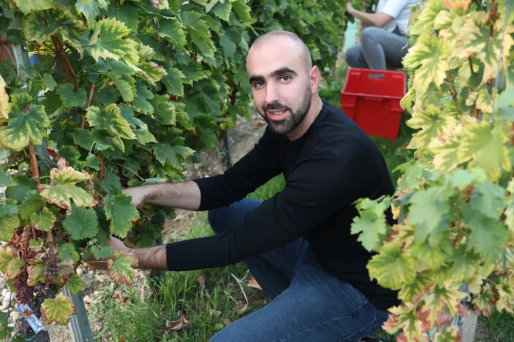 ZAVRŠETAK BERBE: Dosadašnji  vincilir Zoran Svitok na oproštaj doveo tamburaše, a za novog vincilira izabran Viktor Tepeš