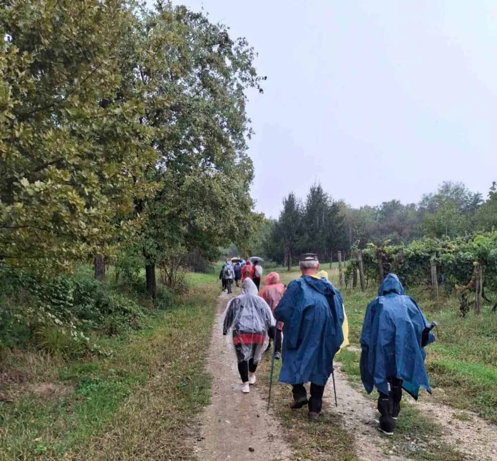 IZLET U SUSJEDNU ŽUPANIJU: Planinari Sokolovca Kroz vinograde i šume Krndije kod Feričanaca