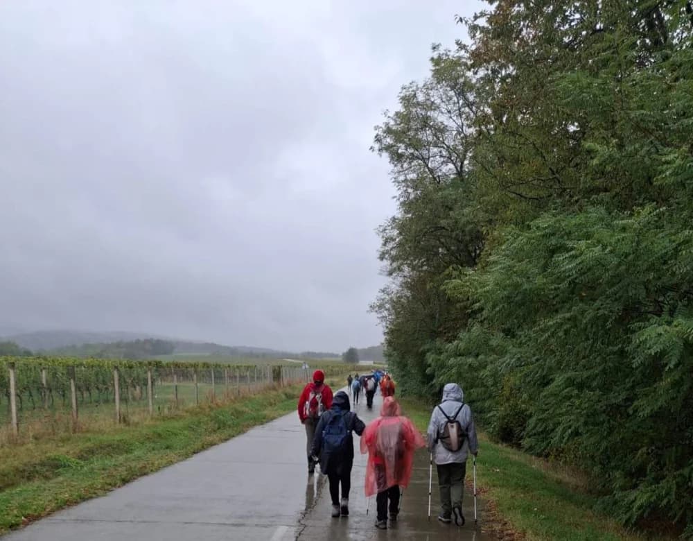 IZLET U SUSJEDNU ŽUPANIJU: Planinari Sokolovca Kroz vinograde i šume Krndije kod Feričanaca