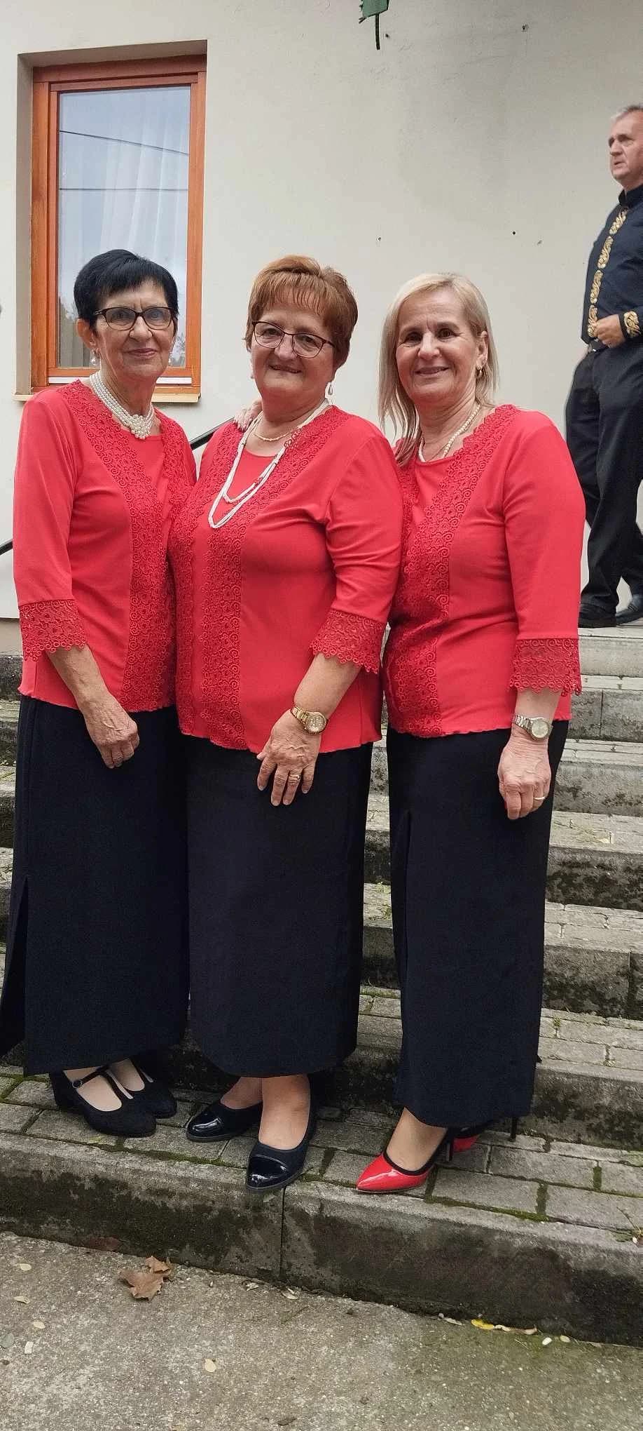 Pjevači i svirači umirovljeničke skupine Ledena berba iz velike nastupili u Mađarskoj