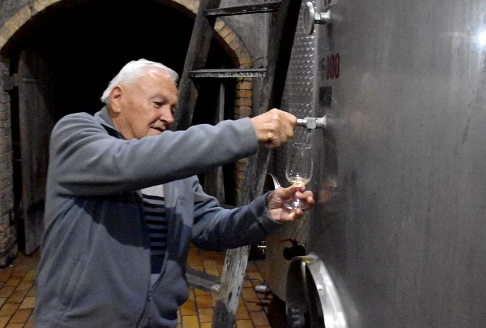 KUTJEVAČKI VINARI U POSJETU PODRUMU IVE ENJINGIJA: Uz kušanje mladih vina obilježen završetak berbe
