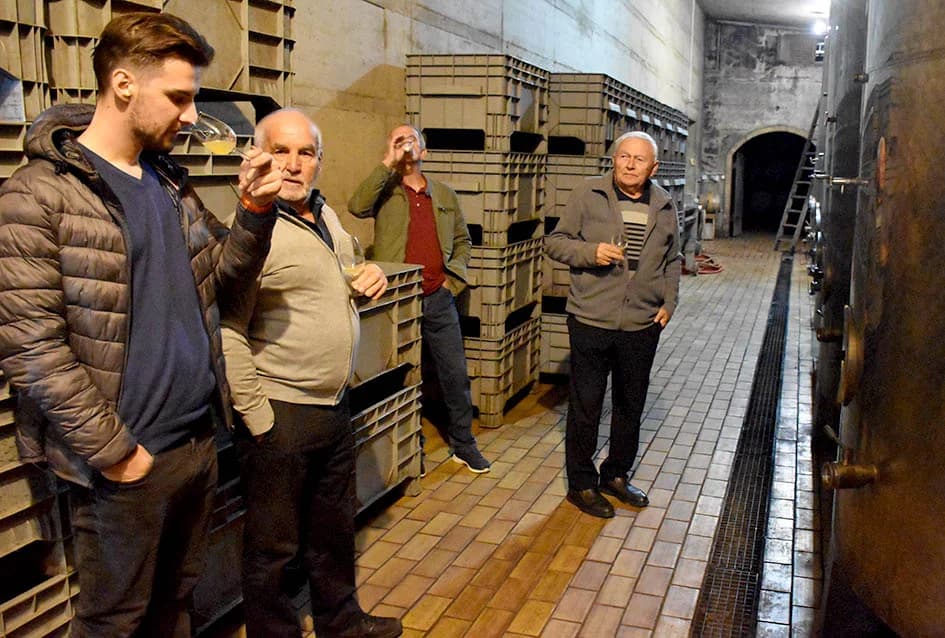KUTJEVAČKI VINARI U POSJETU PODRUMU IVE ENJINGIJA: Uz kušanje mladih vina obilježen završetak berbe
