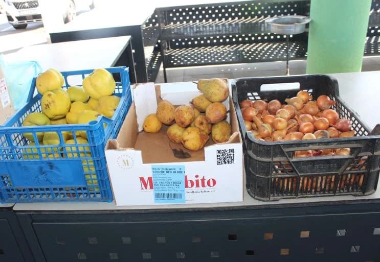 Na Gradskoj tržnici u Pleternici održana radionica zdrave prehrane