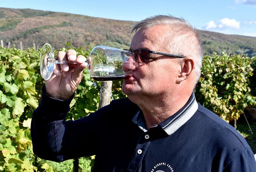 DRUGO IZDANJE CROATICA MASTERKLASSA ODRŽAN U KUTJEVU: Pinot crni je sorta uz bok graševini