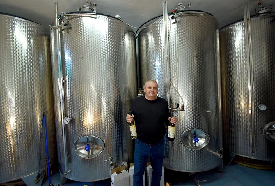 VINOGRADARSKA OBITELJ MIJE ŠOLČIĆA IZ BIŠKUPACA: Ove godine  manje grožđa ali izuzetne kvalitete