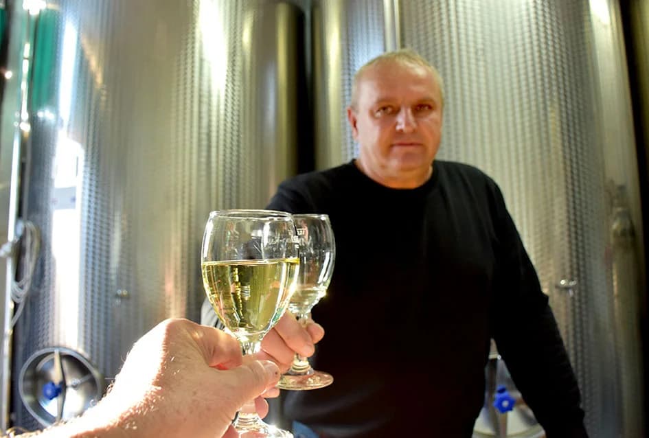 VINOGRADARSKA OBITELJ MIJE ŠOLČIĆA IZ BIŠKUPACA: Ove godine  manje grožđa ali izuzetne kvalitete