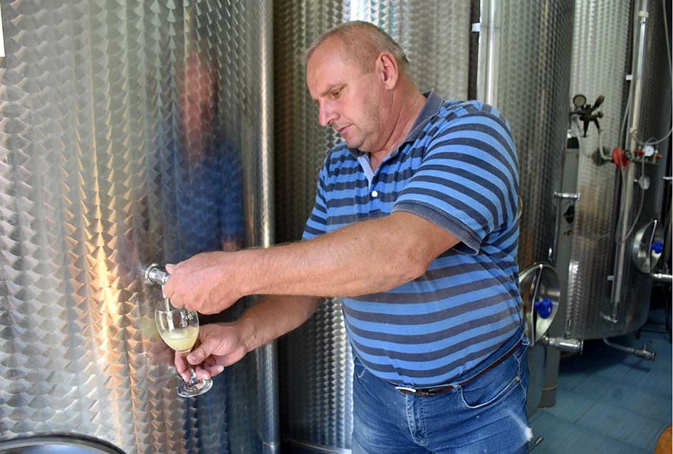 VINOGRADARSKA OBITELJ MIJE ŠOLČIĆA IZ BIŠKUPACA: Ove godine  manje grožđa ali izuzetne kvalitete