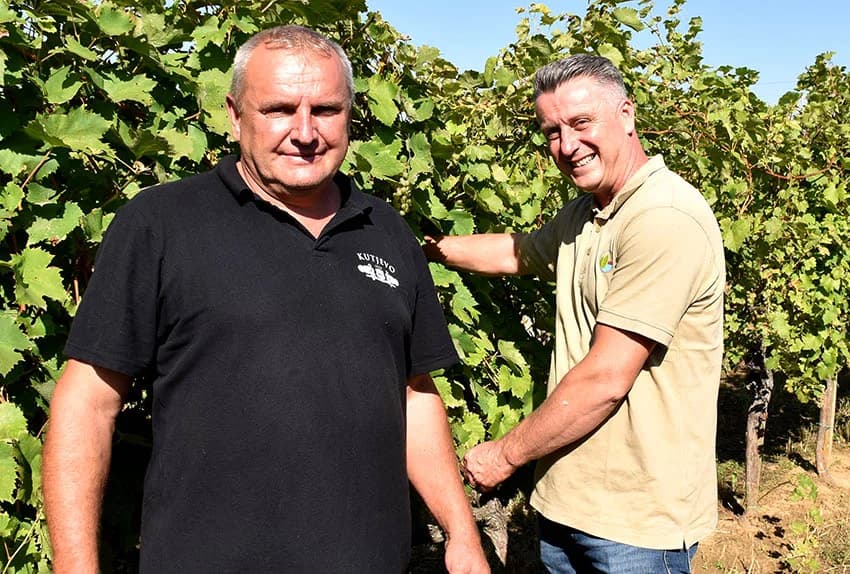Nedostatak berača rješavaju kombajni