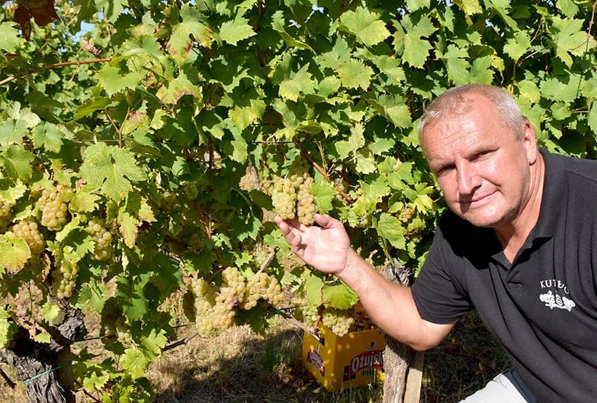 Nedostatak berača rješavaju kombajni
