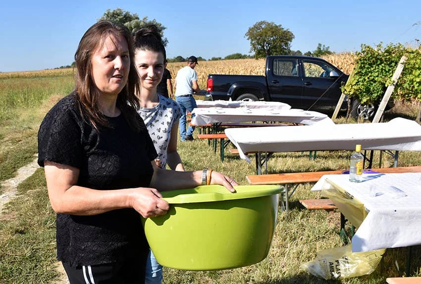 Nedostatak berača rješavaju kombajni