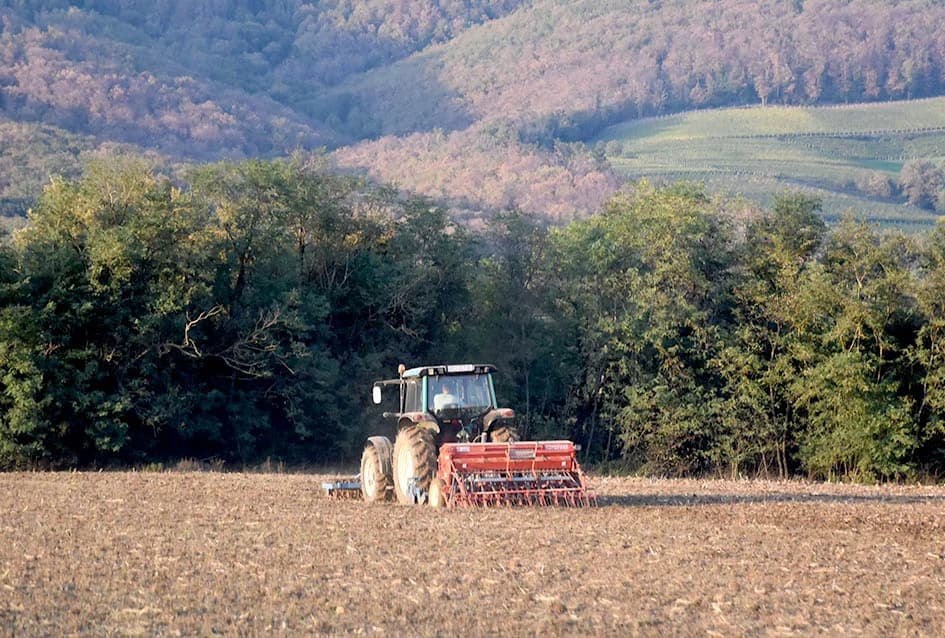 POČELA JESENSKA SJETVA ŽITARICA: Ječam i zob prije pšenice