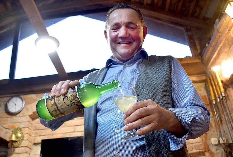 ČLANOVI KAPTOLAČKOG „VINO-KAPA“ GOSTI NOVOKAPELAČKIH I ORIOVAČKIH VINARA: Uz pečene kestene i druge delicije kušano mlado vino