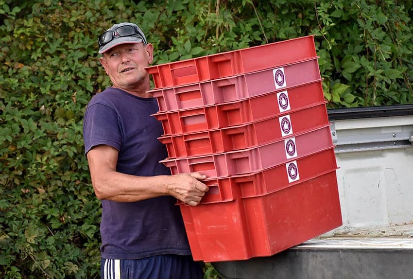 Nakon graševine na red došao pinot crni