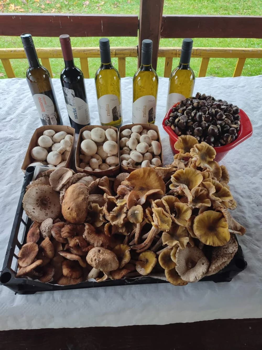 Brojni ljubitelji prirode pristigli na Gljivarijadu i kestenijadu u Zakorenju