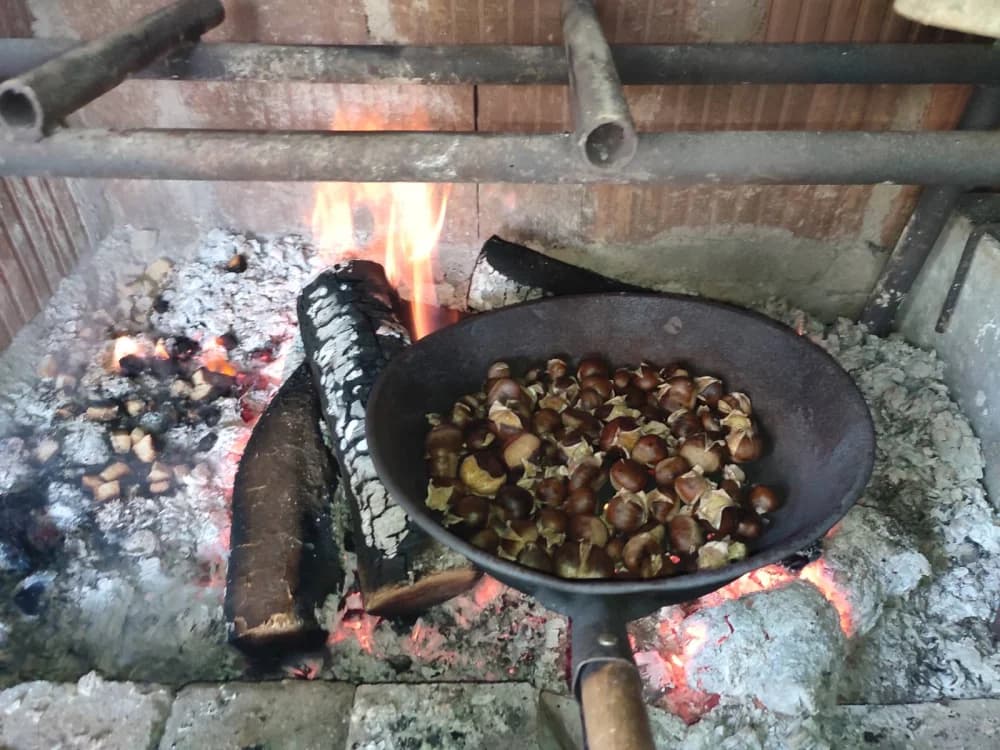 Brojni ljubitelji prirode pristigli na Gljivarijadu i kestenijadu u Zakorenju
