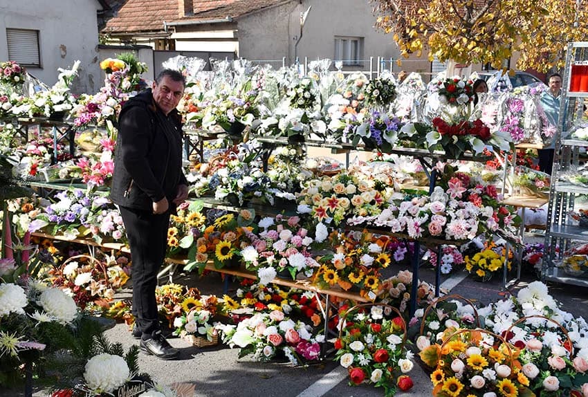 BOGATA PONUDA CVIJEĆA ZA BLAGDAN SVIH SVETIH: Krizanteme imaju posebnu simboliku