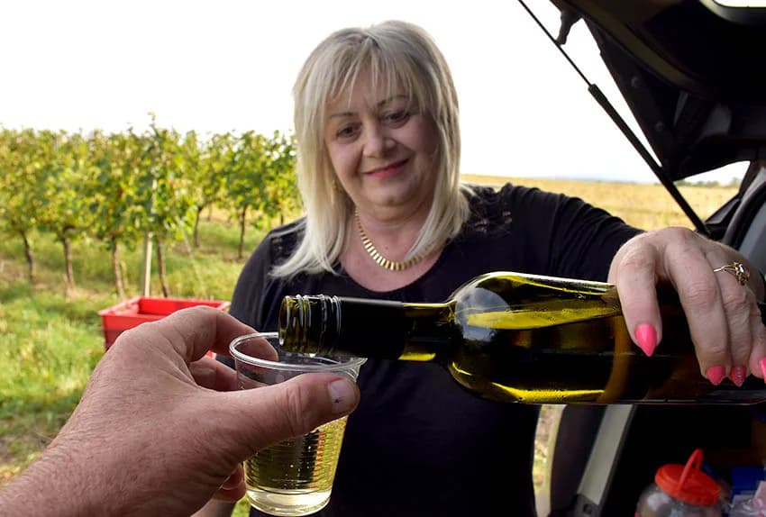 Nakon graševine na red došao pinot crni