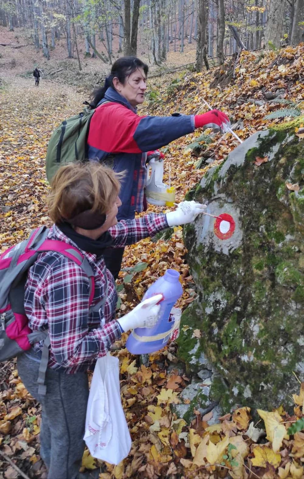 Uređujući putove planinari požeškog Sokolovca uživali u promjeni boja lišća