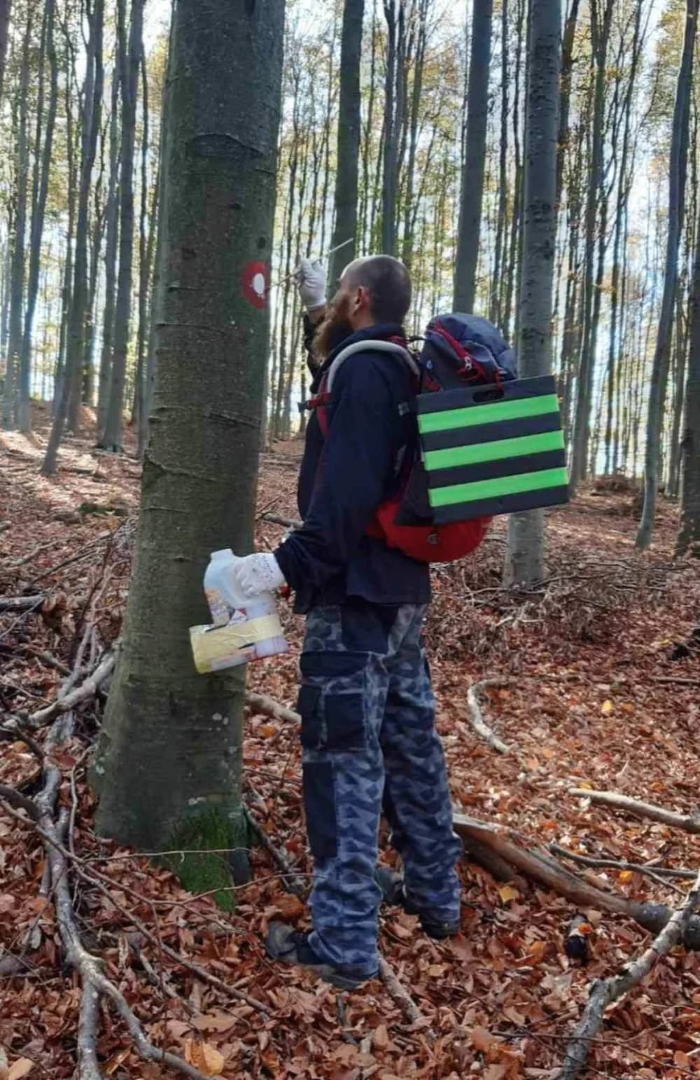 Uređujući putove planinari požeškog Sokolovca uživali u promjeni boja lišća