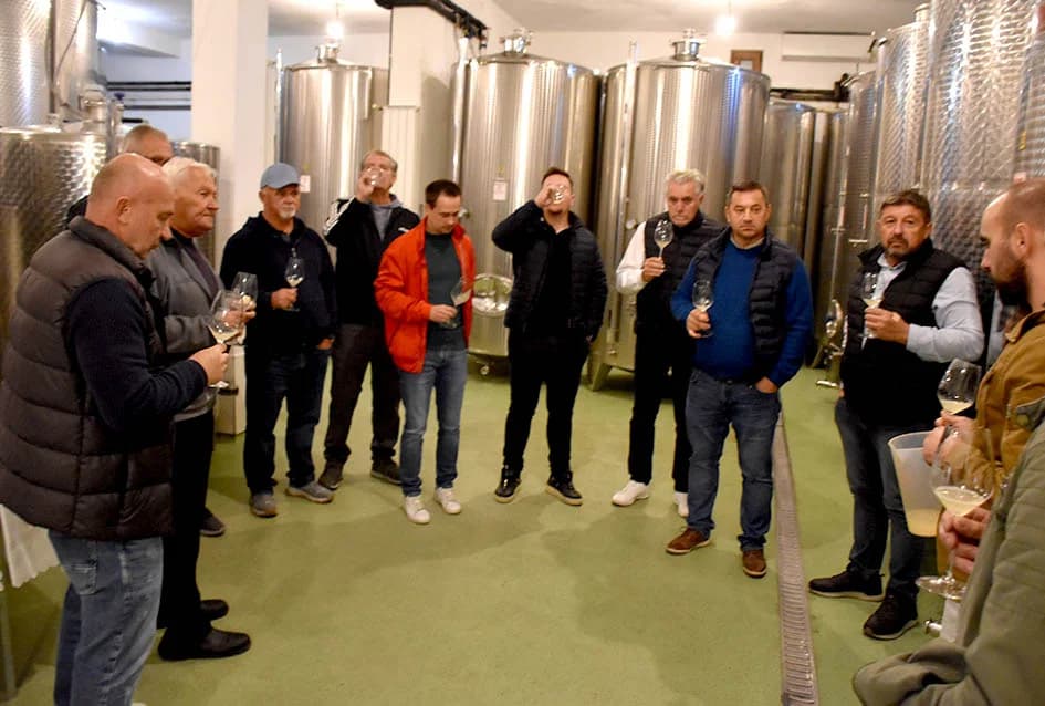 Martinjsko kušanje mladih vina