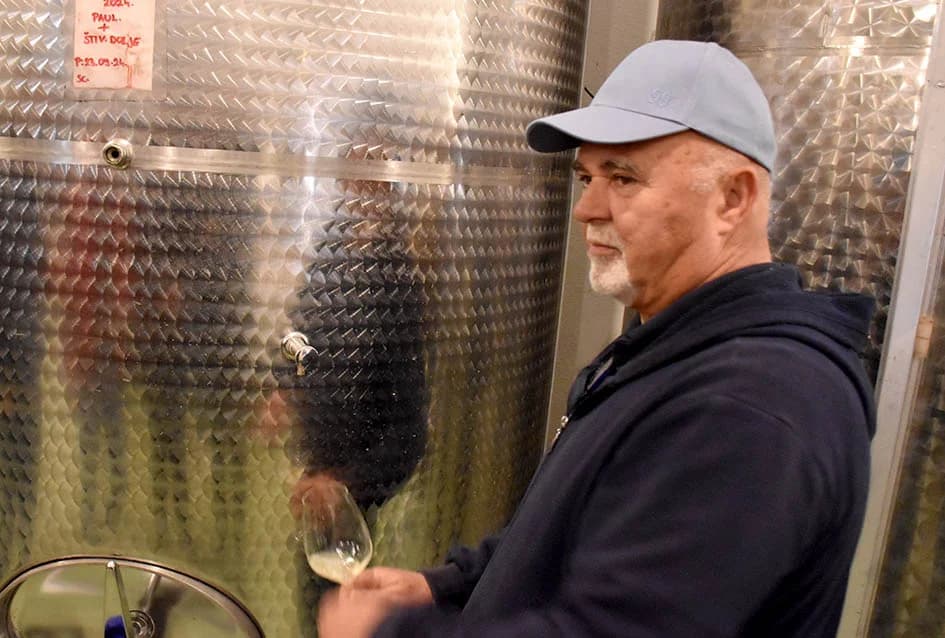 Martinjsko kušanje mladih vina