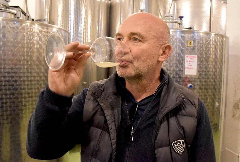 Martinjsko kušanje mladih vina