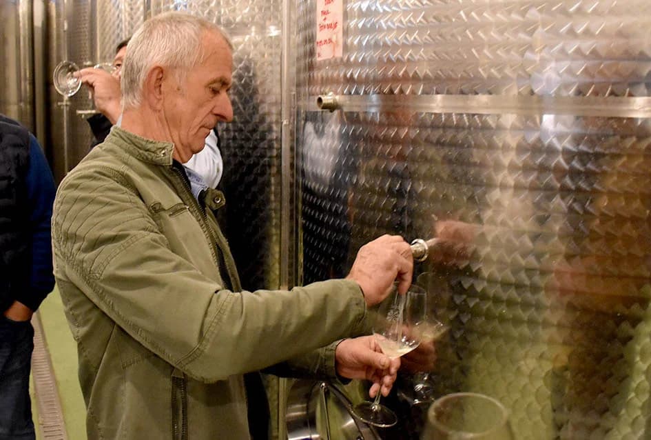 Martinjsko kušanje mladih vina