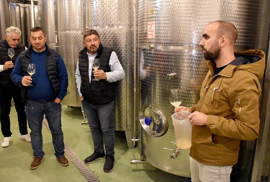 Martinjsko kušanje mladih vina