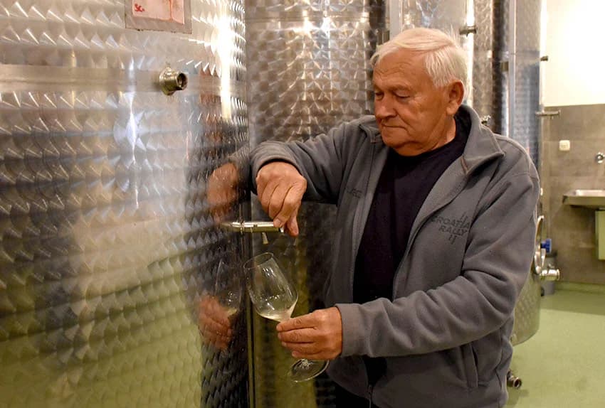 Martinjsko kušanje mladih vina